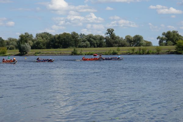 dsc083819871E2EE-7CCC-B9A3-557B-8D7769C861E5.jpg